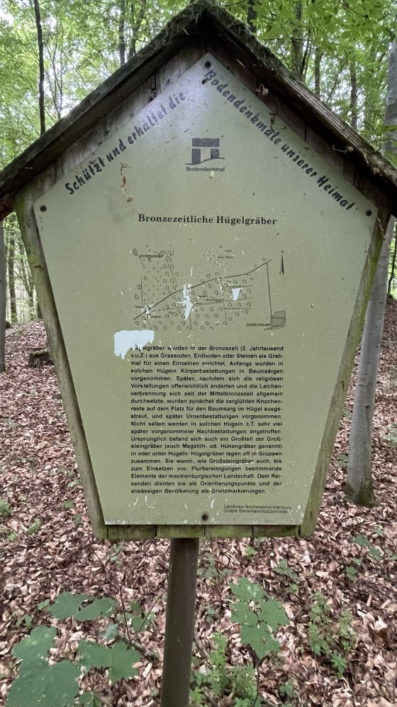 Everstorfer Forst Nord 10 (Dolmen / Quoit / Cromlech)