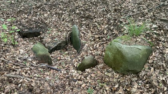 Everstorfer Forst Nord 10 (Dolmen / Quoit / Cromlech)