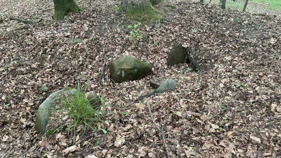 Everstorfer Forst Nord 10 (Dolmen / Quoit / Cromlech)