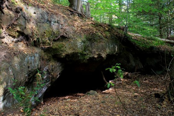 Oldbury Rock Shelters