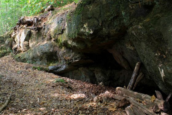 Oldbury Rock Shelters