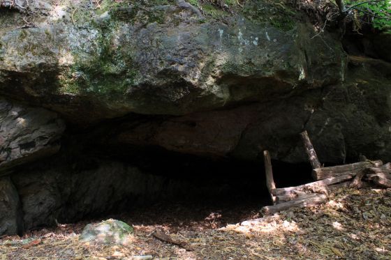 Oldbury Rock Shelters