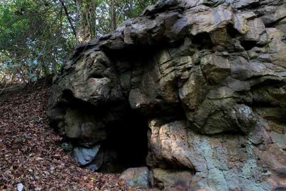 Oldbury Rock Shelters