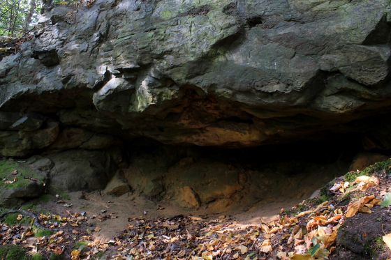 Oldbury Rock Shelters