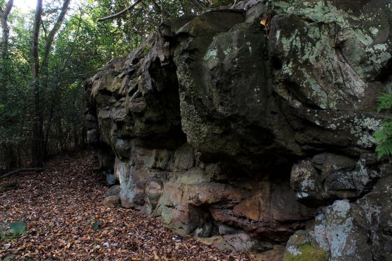 Oldbury Rock Shelters