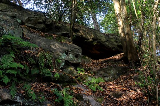 Oldbury Rock Shelters