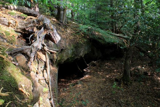Oldbury Rock Shelters
