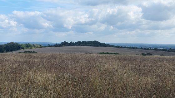 Offham Hill (Causewayed Enclosure)