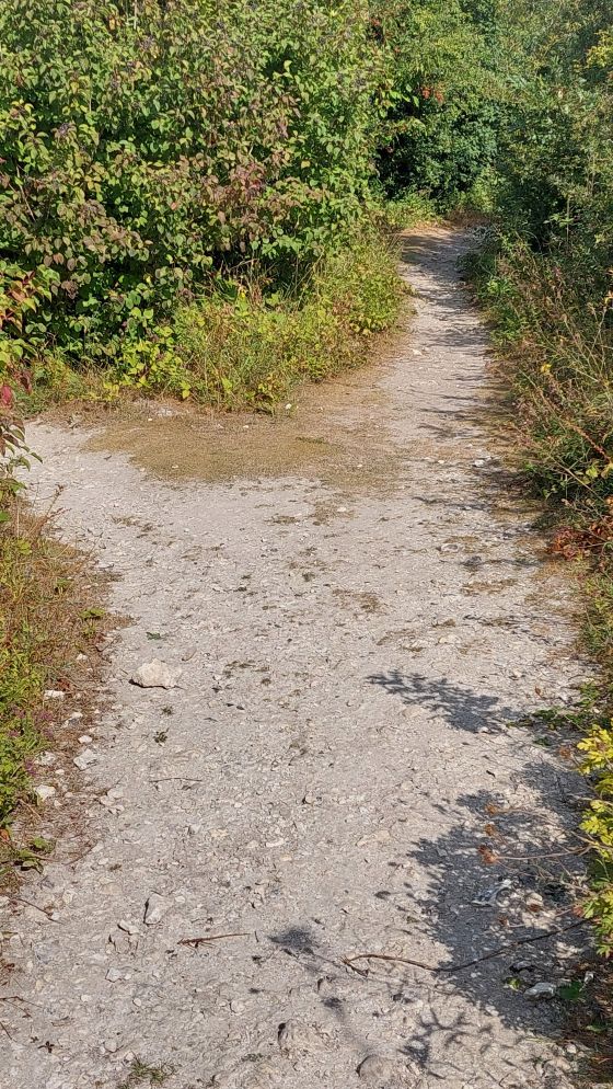 Offham Hill (Causewayed Enclosure)