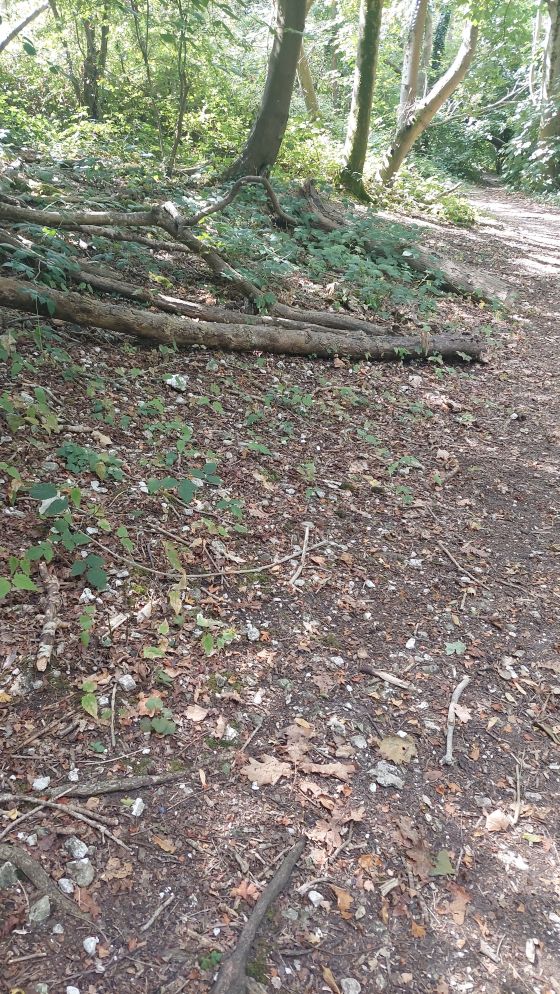 Offham Hill (Causewayed Enclosure)