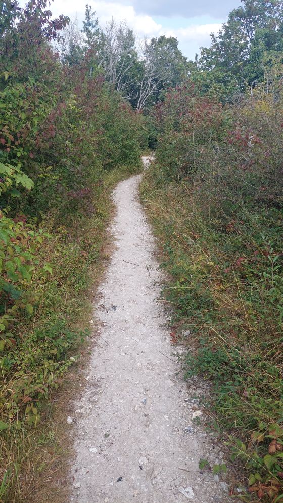 Offham Hill (Causewayed Enclosure)