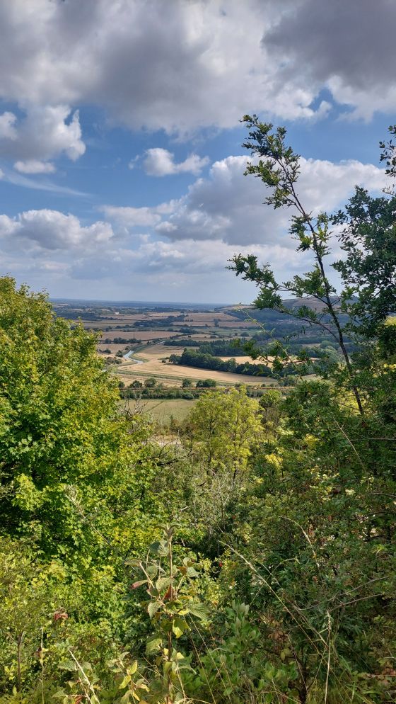 Offham Hill (Causewayed Enclosure)