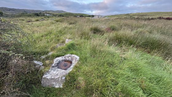 Shalwy (Bullaun Stone)