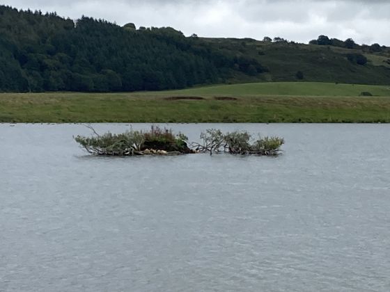 Cults Loch Crannogs