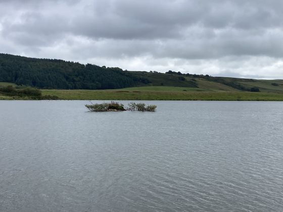 Cults Loch Crannogs