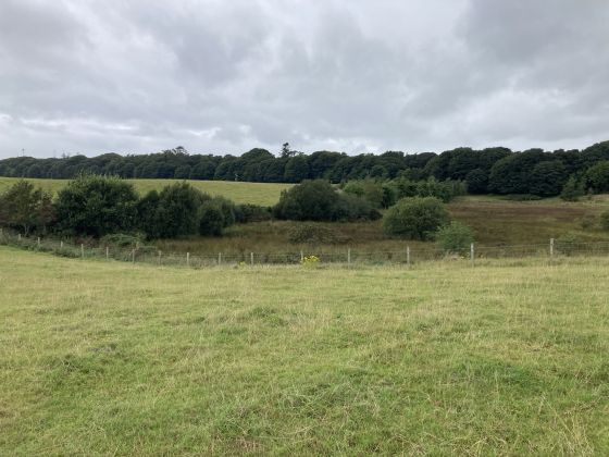 Cults Loch Fort (Promontory Fort)