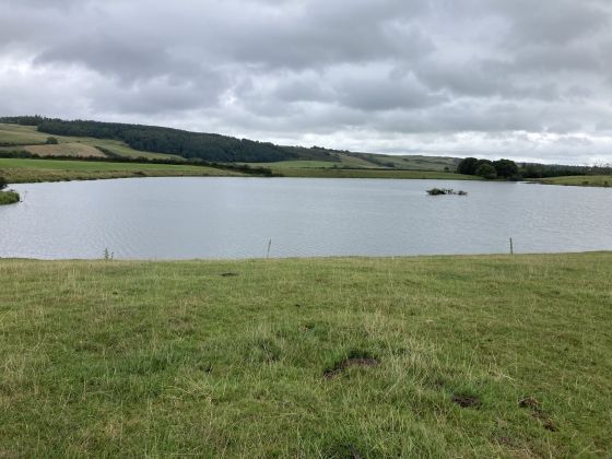 Cults Loch Fort (Promontory Fort)