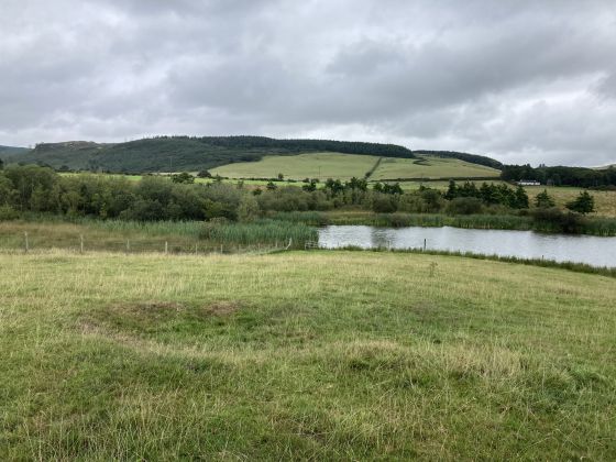 Cults Loch Fort (Promontory Fort)