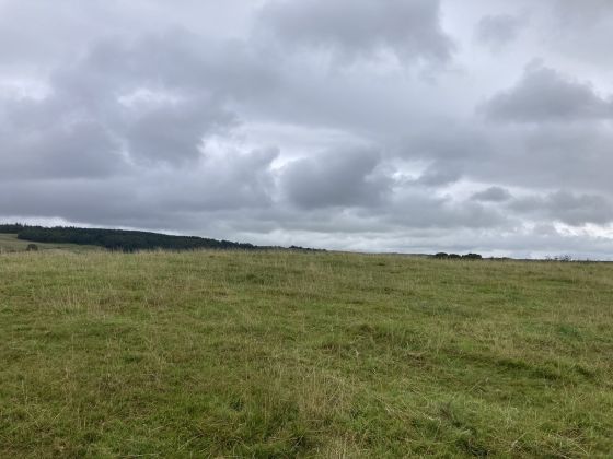 Cults Loch Fort (Promontory Fort)