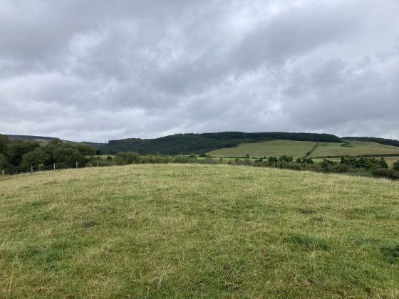 Cults Loch Fort (Promontory Fort)
