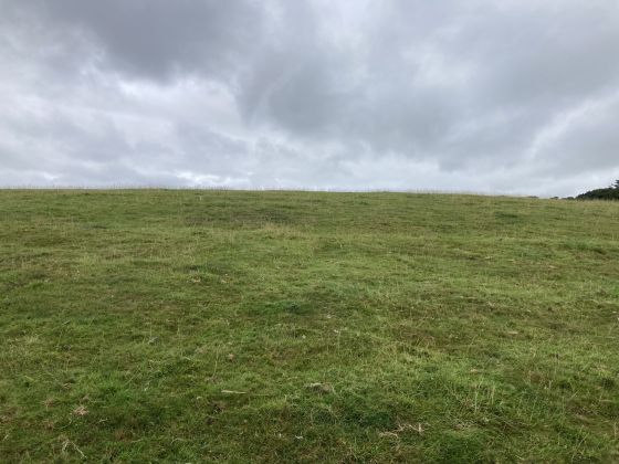Cults Loch Fort (Promontory Fort)