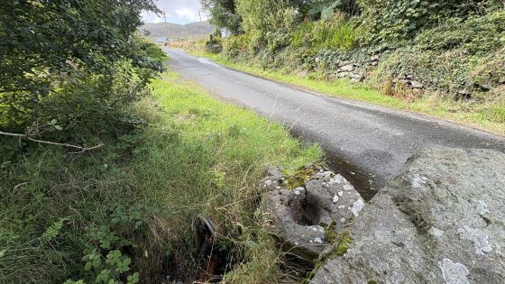 Leirg an Dachtáin (Lergadaghtan) (Bullaun Stone)