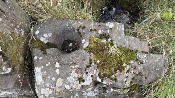 Leirg an Dachtáin (Lergadaghtan) (Bullaun Stone)