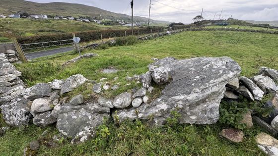 An tSráid (Straid or Glebe) Dg. 115 (Chambered Tomb)