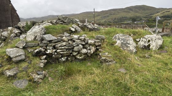 An tSráid (Straid or Glebe) Dg. 115 (Chambered Tomb)