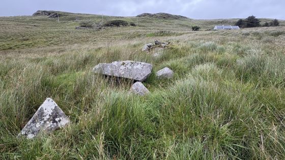 Malin More Dg. 96 (Court Tomb)