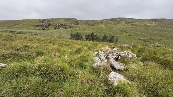 Malin More Dg. 96 (Court Tomb)