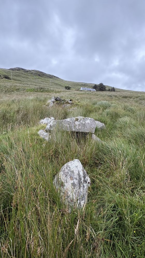 Malin More Dg. 96 (Court Tomb)
