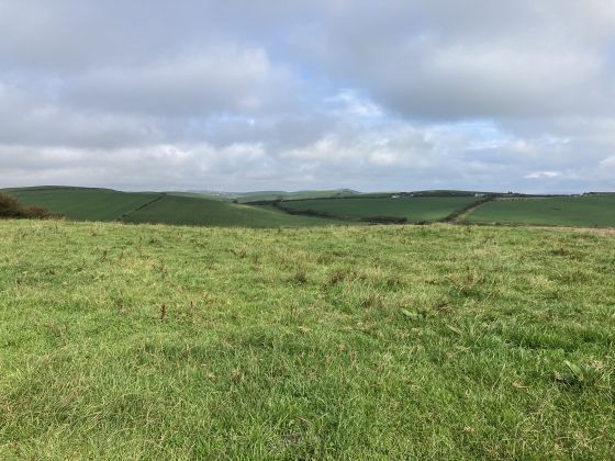 Doon Hill (Kildonnan) (Ancient Village / Settlement / Misc. Earthwork)