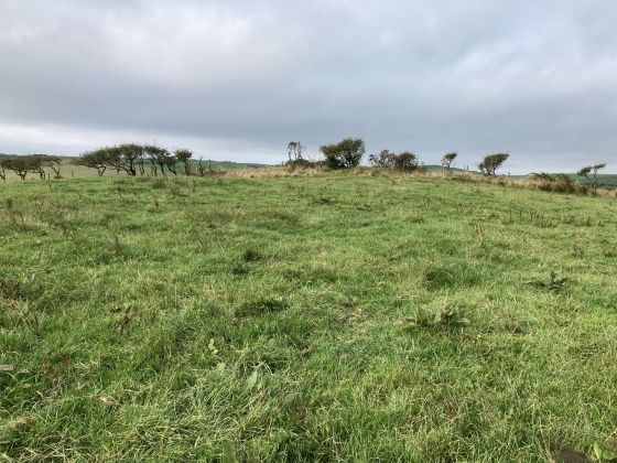 Doon Hill (Kildonnan) (Ancient Village / Settlement / Misc. Earthwork)