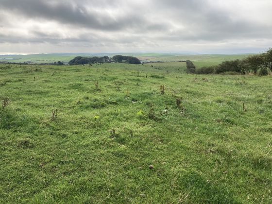 Doon Hill (Kildonnan) (Ancient Village / Settlement / Misc. Earthwork)