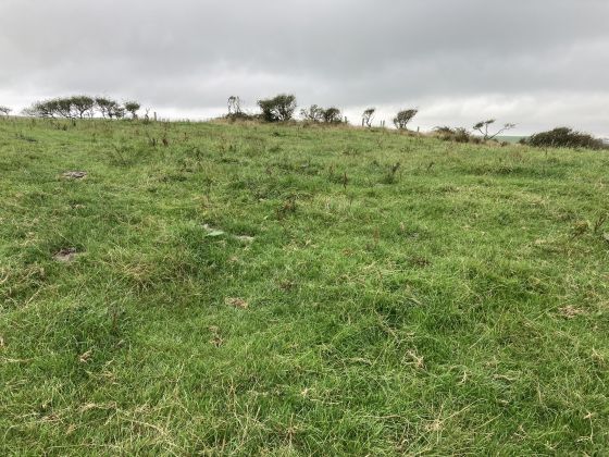 Doon Hill (Kildonnan) (Ancient Village / Settlement / Misc. Earthwork)