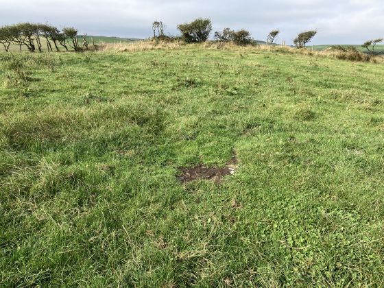 Doon Hill (Kildonnan) (Ancient Village / Settlement / Misc. Earthwork)