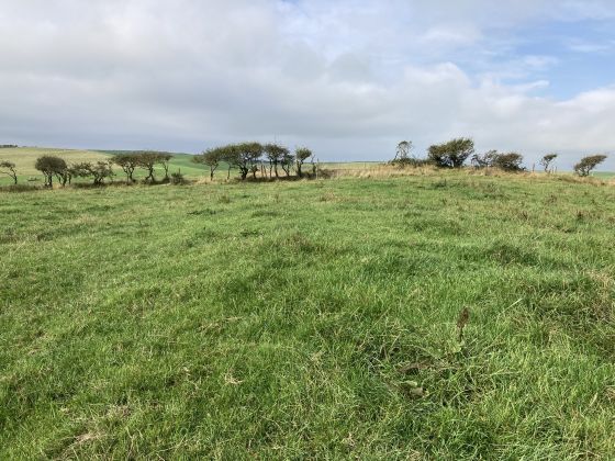 Doon Hill (Kildonnan) (Ancient Village / Settlement / Misc. Earthwork)
