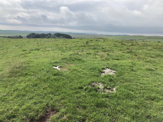 Doon Hill (Kildonnan) (Ancient Village / Settlement / Misc. Earthwork)