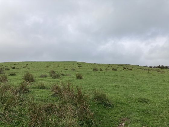 Doon Hill (Kildonnan) (Ancient Village / Settlement / Misc. Earthwork)