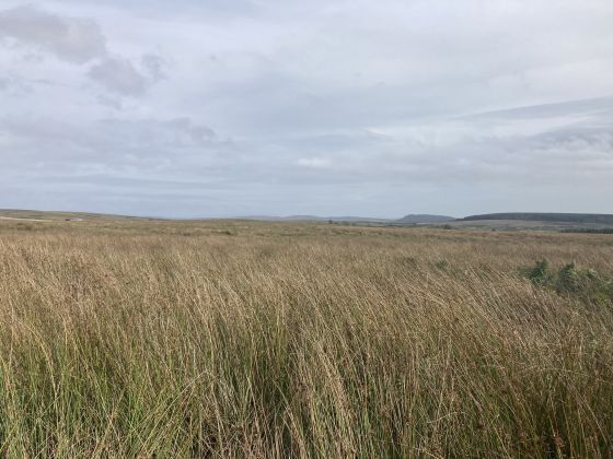 Sheuchan Hill (Cairn(s))