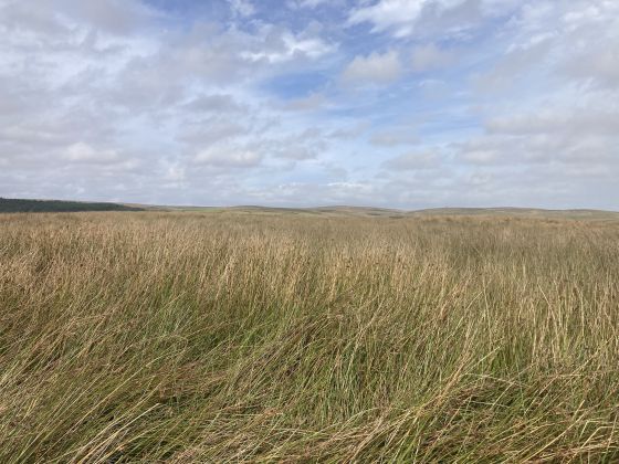 Sheuchan Hill (Cairn(s))