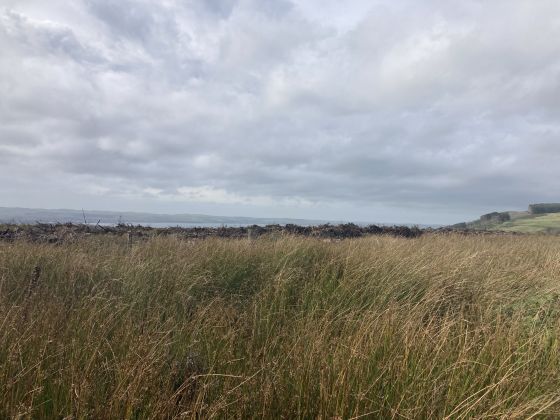 Sheuchan Hill (Cairn(s))