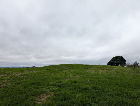 Masson Hill (Round Barrow(s))