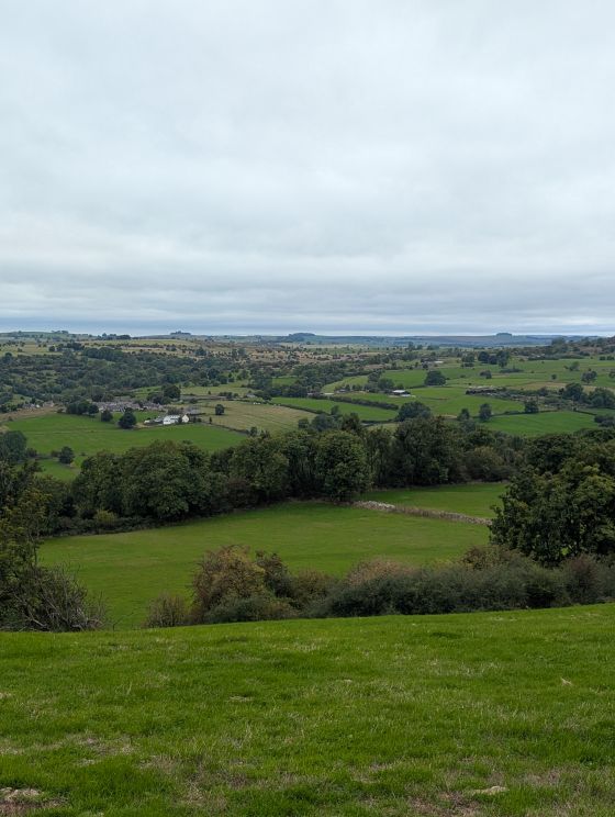 Masson Hill (Round Barrow(s))
