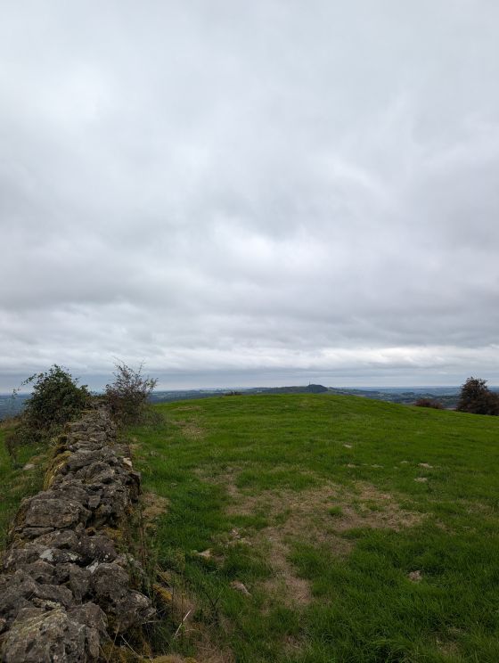 Masson Hill (Round Barrow(s))