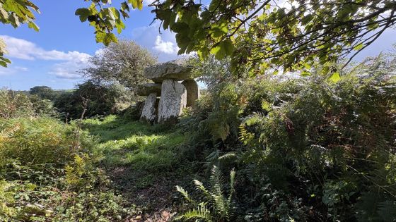 Knockeen (Portal Tomb)