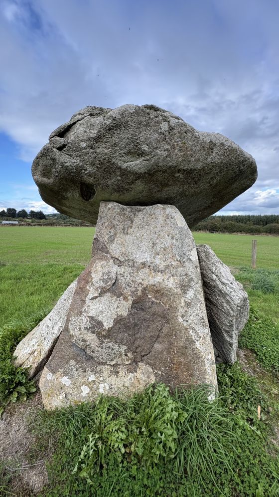 Ballynageeragh (Portal Tomb)