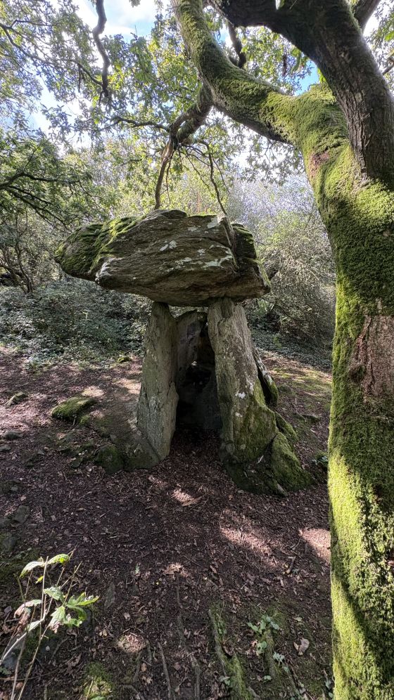 Gaulstown (Portal Tomb)