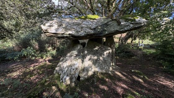 Gaulstown (Portal Tomb)